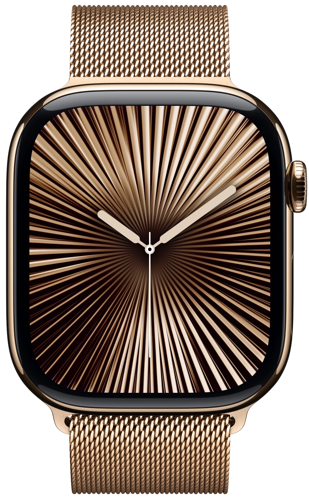 Apple Watch Series 10
Stainless Steel