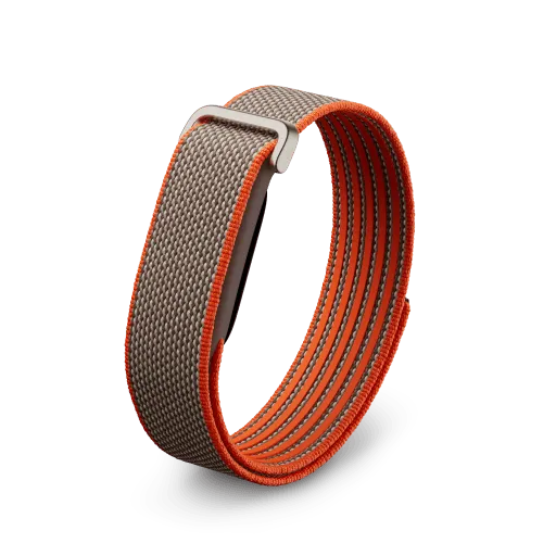 Google Fitbit Air