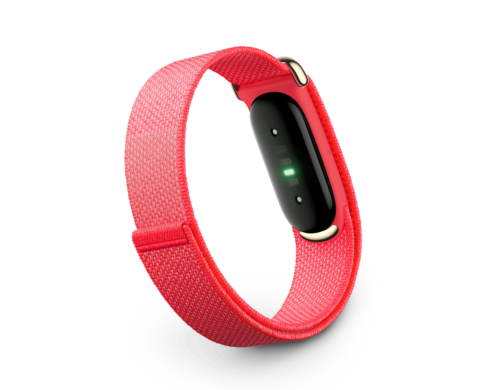 Google Fitbit Air
