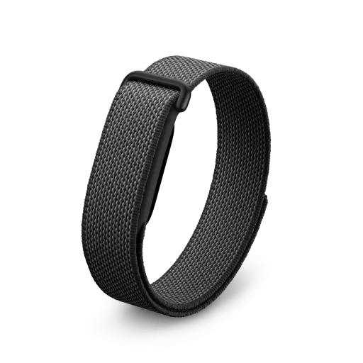 Google Fitbit Air