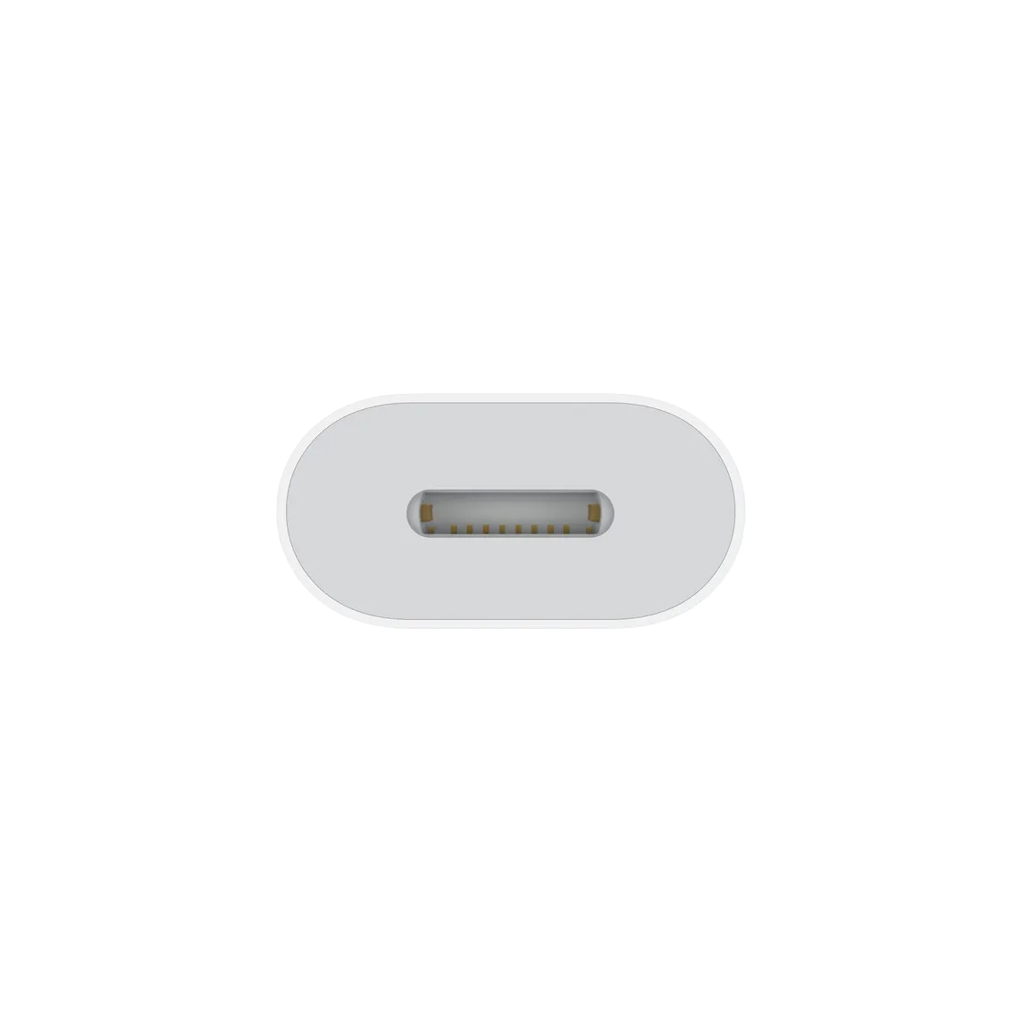 USB-C to Lightning Adapter