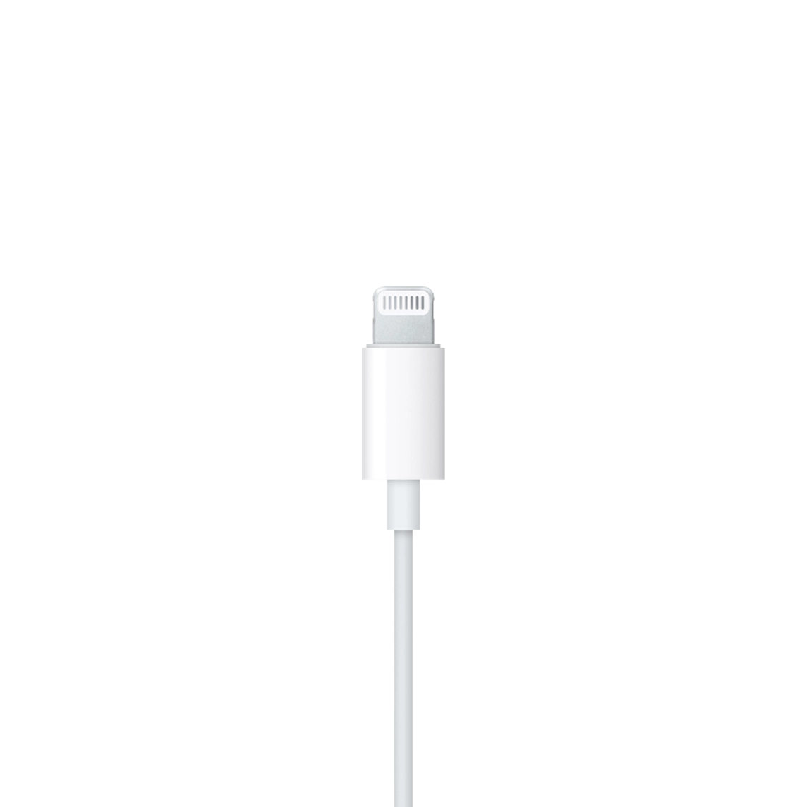 EarPods
Lightning Connector