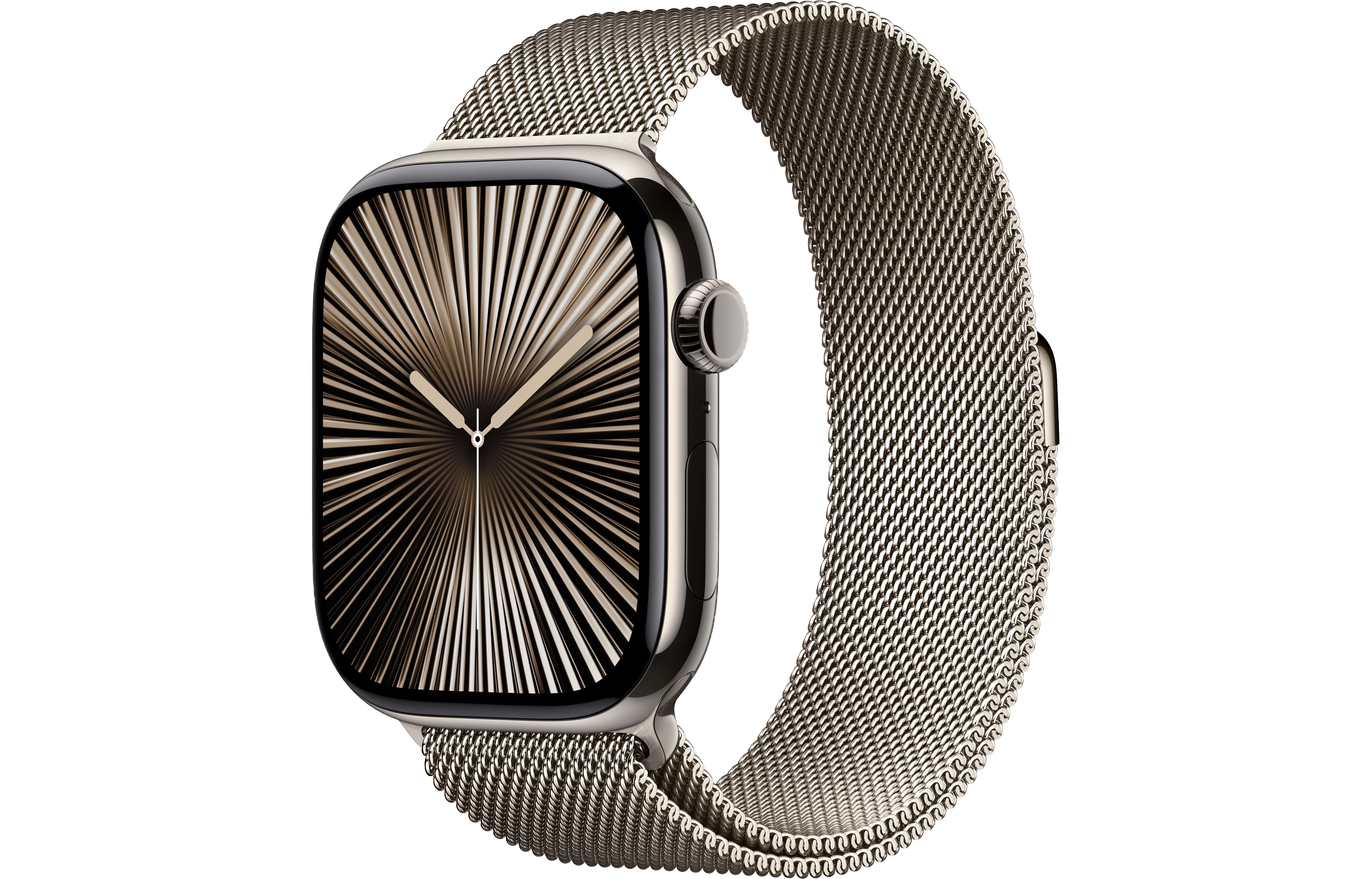 Apple Watch Series 10
Stainless Steel