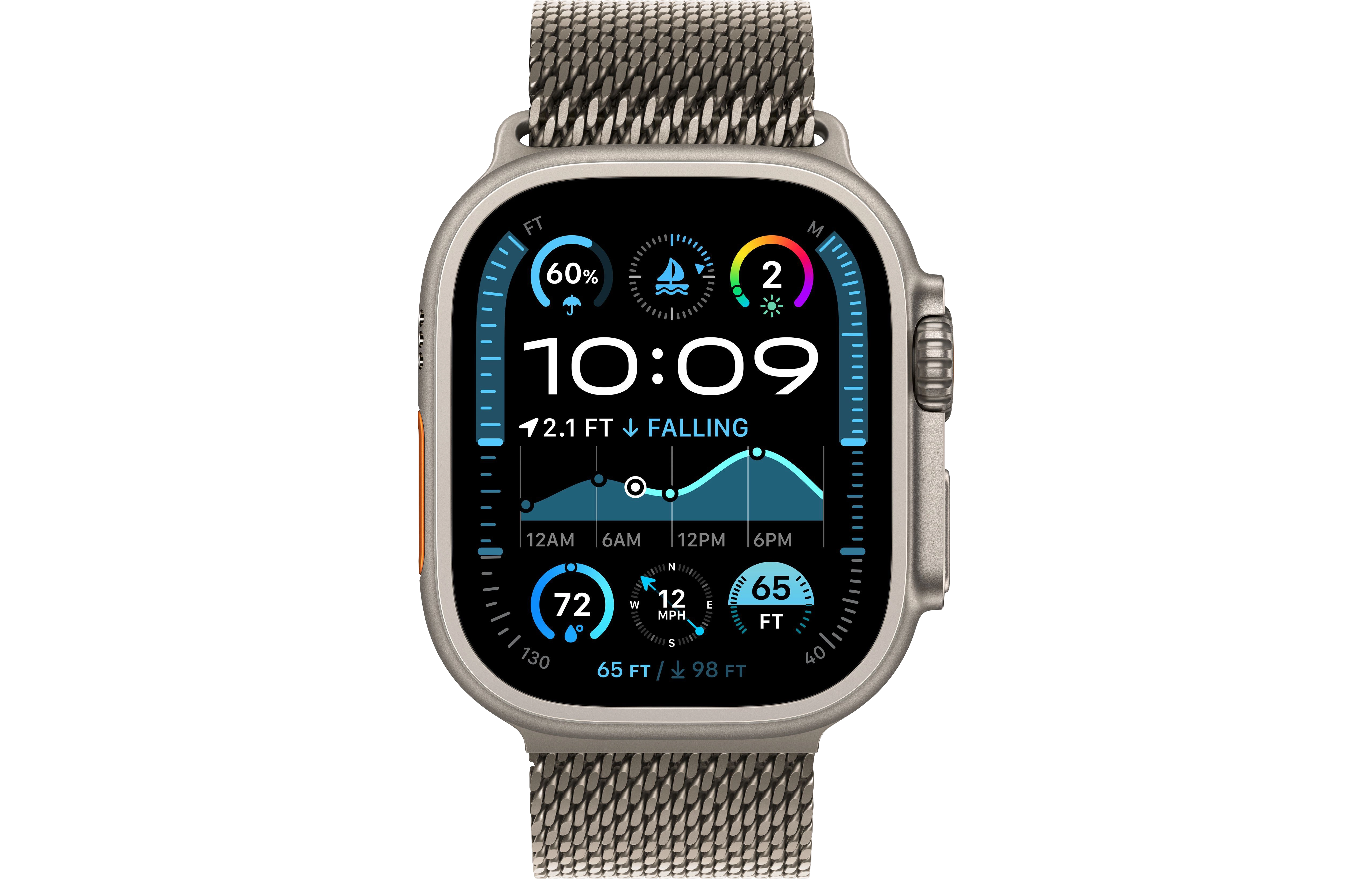 Natural Case Titanium Milanese Loop